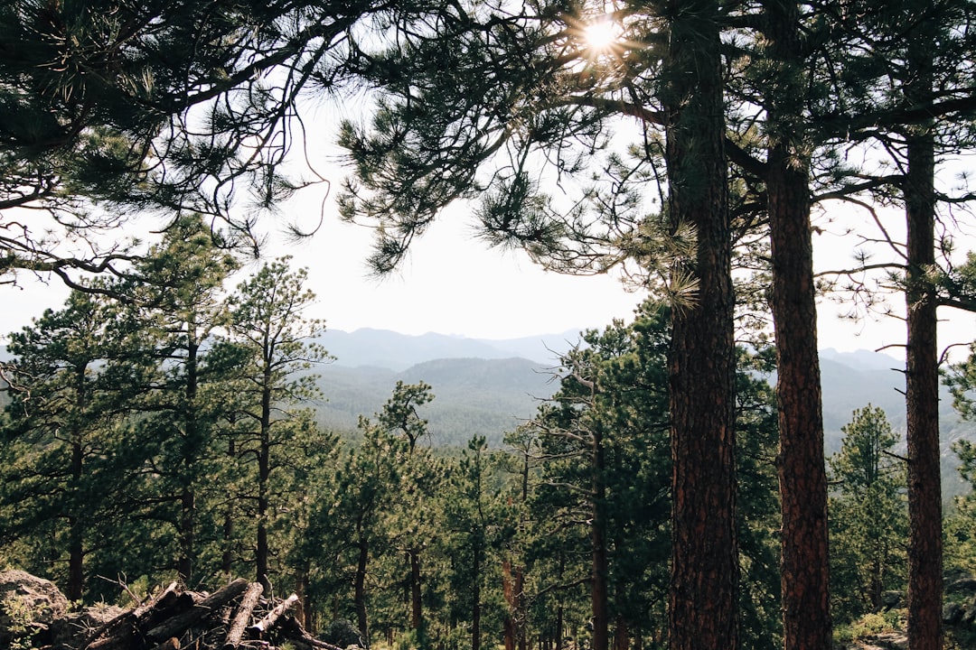 Unleashing the Explorer Within: A Guide to Adventurous Outdoor Travel